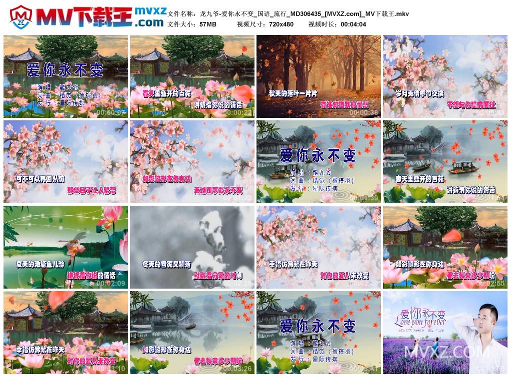 龙九爷-爱你永不变_国语_流行_MD306435